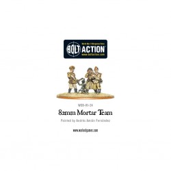 bolt action - Soviet 82mm mortar