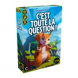 C' est toute la question !