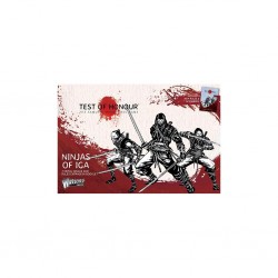 Test of honour - ninjas of iga