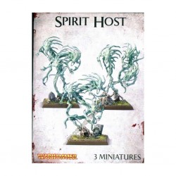 Spirit hosts