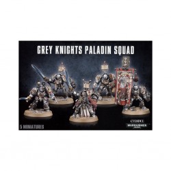 Grey knights old - paladin squad