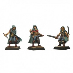 Assassin - fenryll