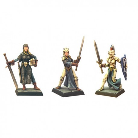 Paladine - fenryll