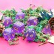 Kit de 7 des - JD - purple iridecent