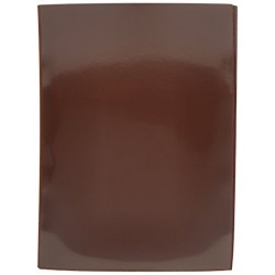 dragon shield brown