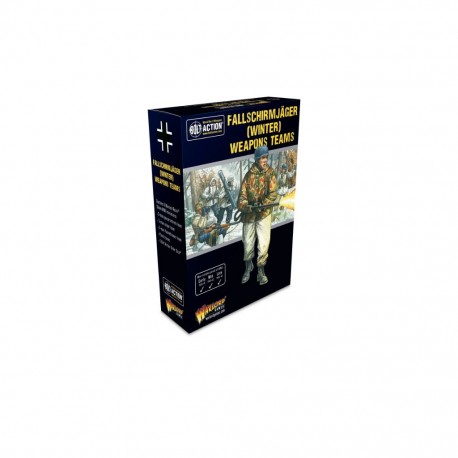 Bolt action - fallschrirmjager - winter - weapons teams