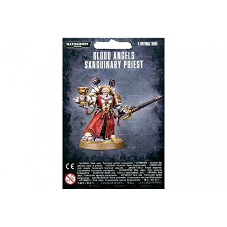 BLOOD ANGELS SANGUINARY PRIEST 