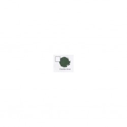 CASTELLAN GREEN (6-PACK) 