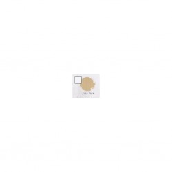 KISLEV FLESH (6-PACK) 