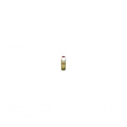 THE ARMY PAINTER COLOUR PRIMERS DRAGON RED