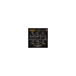 WARMACHINE CRYX STATYWIS RAIDERS UNIT