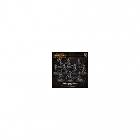 WARMACHINE CRYX STATYWIS RAIDERS UNIT