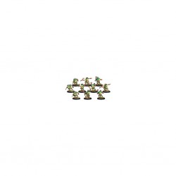 HORDES MINIONS CROAK RAIDERS UNIT