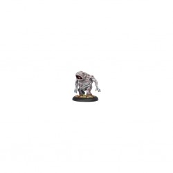 HORDES SKORNE AGONIZER SOLO 