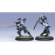 HORDES LEGION OF EVERBLIGHT BLIGHTED SWORDSMEN LEGION TROOPS