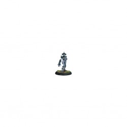 HORDES LEGION OF EVERBLIGHT THE FORSAKEN SOLO