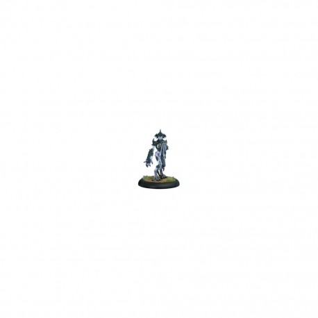 HORDES LEGION OF EVERBLIGHT THE FORSAKEN SOLO