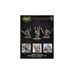 HORDES TROLLBLOODS SONS OF BRAGG CHARACTER UNIT