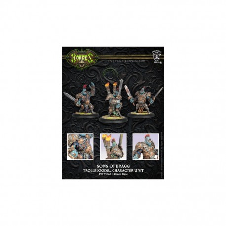 HORDES TROLLBLOODS SONS OF BRAGG CHARACTER UNIT