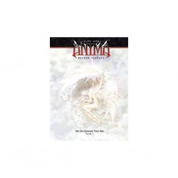 ANIMA BEYOND FANTASY CEUX QUI MARCHAIENT PARMI NOUS VOL 1 