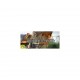  7 Wonders : Wonder Pack