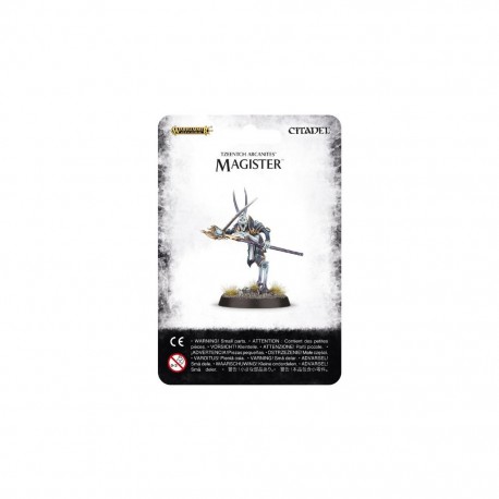 Magister 