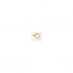 Auric armor gold 